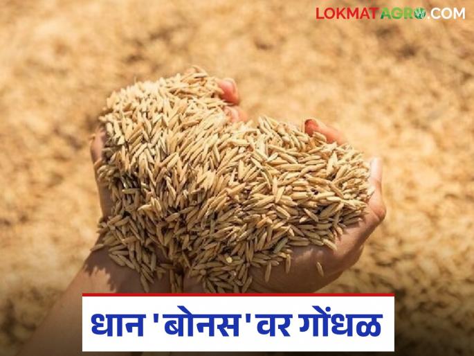 latest news Dhan Bonus : Confusion over paddy bonus; Tribal Corporation gave it to some, Marketing Federation gives farmers a hard time! | Dhan Bonus : धानाच्या बोनसवर गोंधळ; आदिवासी महामंडळाने काहींना दिला, पणन महासंघाचा शेतकऱ्यांना ठेंगा!