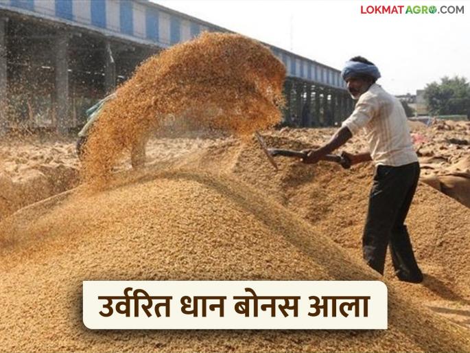 Latest News dhan Bonus Paddy bonus for remaining farmers in Gondia district, distributed from today | Dhan Bonus : अखेर वीस हजार रुपयांचा धान बोनस आला, 'या' शेतकऱ्यांच्या बँक खात्यावर येणार 
