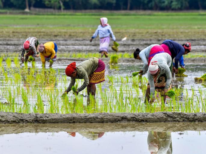 Editorial: Dhan-Dhanya Krishi Yojana scheme is good; but... | संपादकीय: धन-धान्य कृषी योजना योजना चांगली; पण... Editorial: Dhan-Dhanya Krishi Yojana scheme is good; but... | संपादकीय: धन-धान्य कृषी योजना योजना चांगली; पण...