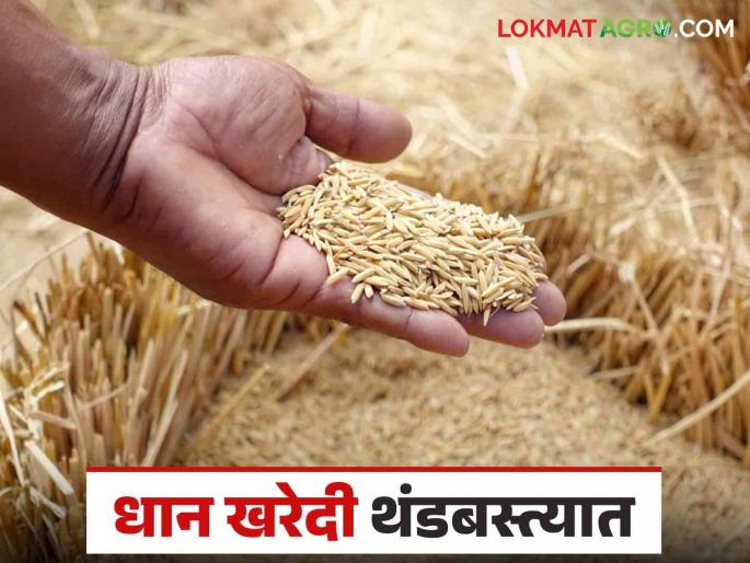 Dhan Kharedi : When will the dispute between paddy buying and selling union and marketing board be resolved? | Dhan Kharedi : केंद्रांना मंजुरी मिळूनही ; धान खरेदी विक्री संघ व पणन मंडळात वाद तोडगा निघणार कधी? Dhan Kharedi : When will the dispute between paddy buying and selling union and marketing board be resolved? | Dhan Kharedi : केंद्रांना मंजुरी मिळूनही ; धान खरेदी विक्री संघ व पणन मंडळात वाद तोडगा निघणार कधी?