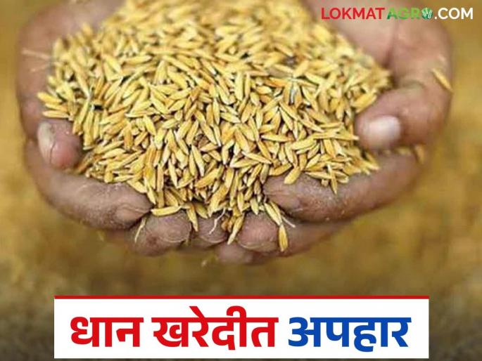 Latest News Dhan Kharedi Ghotala Scam of one crore rupees in paddy purchase In gondiya district see details | Dhan Kharedi Ghotala : धान खरेदीत एक कोटींचा घोटाळा, खरेदी केलेल्या धानापेक्षा उचल दिली कमी! Latest News Dhan Kharedi Ghotala Scam of one crore rupees in paddy purchase In gondiya district see details | Dhan Kharedi Ghotala : धान खरेदीत एक कोटींचा घोटाळा, खरेदी केलेल्या धानापेक्षा उचल दिली कमी!
