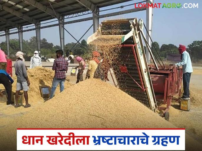 Latest news Dhan Kharedi Ghotala crores of rupees being misappropriated in paddy procurement Read in detail | Dhan Kharedi Ghotala : धान खरेदीत कोटी रुपयांचा घोळ कसा केला जातोय? इथं वाचा सविस्तर  Latest news Dhan Kharedi Ghotala crores of rupees being misappropriated in paddy procurement Read in detail | Dhan Kharedi Ghotala : धान खरेदीत कोटी रुपयांचा घोळ कसा केला जातोय? इथं वाचा सविस्तर
