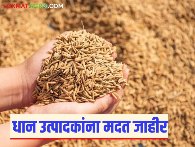 These farmers will get Rs 20,000 whether they sell their paddy or not; Read in detail | धान विक्री केली असो किंवा नसो या शेतकऱ्यांना मिळणार २० हजार रुपये; वाचा सविस्तर