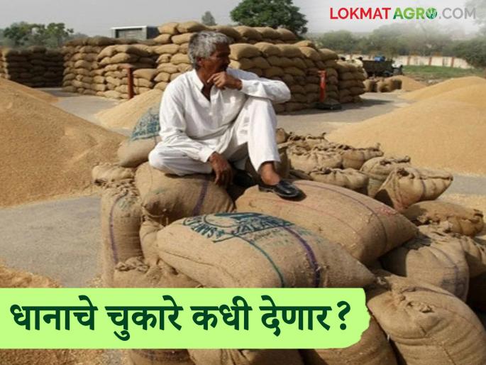 Paddy procurement: Paddy procurement is booming and defaults are slow; Read the reality of government procurement in detail | Paddy procurement : धान खरेदी जोरात अन् चुकारे संथ; शासकीय खरेदीचे वास्तव वाचा सविस्तर Paddy procurement: Paddy procurement is booming and defaults are slow; Read the reality of government procurement in detail | Paddy procurement : धान खरेदी जोरात अन् चुकारे संथ; शासकीय खरेदीचे वास्तव वाचा सविस्तर