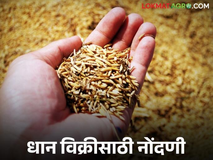 Latest News Registration for sale of Rabi paddy can be done till 23 saptember date, read in detail | Rabbi Dhan Vikri : रब्बीतील धान विक्रीसाठी 'या' तारखेपर्यंत नोंदणी करता येईल, वाचा सविस्तर 