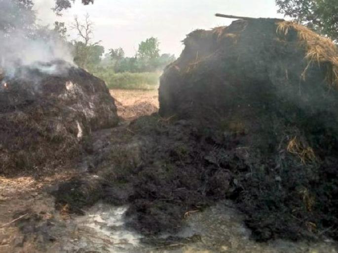 33 acres of paddy stack set on fire by unknown | धानाच्या पुंजण्याला अज्ञाताने लावली आग, ३३ एकरातील धानाची राखरांगोळी 33 acres of paddy stack set on fire by unknown | धानाच्या पुंजण्याला अज्ञाताने लावली आग, ३३ एकरातील धानाची राखरांगोळी