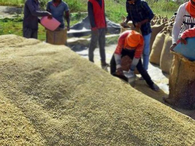 Big relief for farmers Record prices of paddy at the beginning of the season, the result of the abolition of 'duty' by the central government | शेतकऱ्यांना मोठा दिलासा! हंगामाच्या सुरुवातीलाच धानाला विक्रमी दर, केंद्र सरकारने 'ड्युटी' रद्द केल्याचा परिणाम Big relief for farmers Record prices of paddy at the beginning of the season, the result of the abolition of 'duty' by the central government | शेतकऱ्यांना मोठा दिलासा! हंगामाच्या सुरुवातीलाच धानाला विक्रमी दर, केंद्र सरकारने 'ड्युटी' रद्द केल्याचा परिणाम
