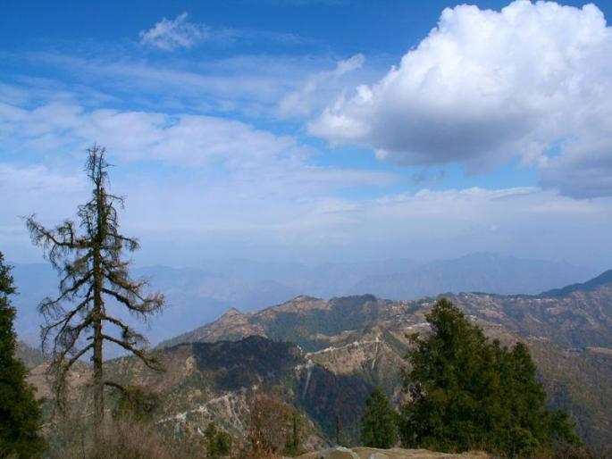 Adventure activities to do in Dhanaulti | Adventure आवडणाऱ्या लोकांसाठी स्वर्ग आहे धनोल्ती, जाणून घ्या कधी जाऊ शकता? Adventure activities to do in Dhanaulti | Adventure आवडणाऱ्या लोकांसाठी स्वर्ग आहे धनोल्ती, जाणून घ्या कधी जाऊ शकता?