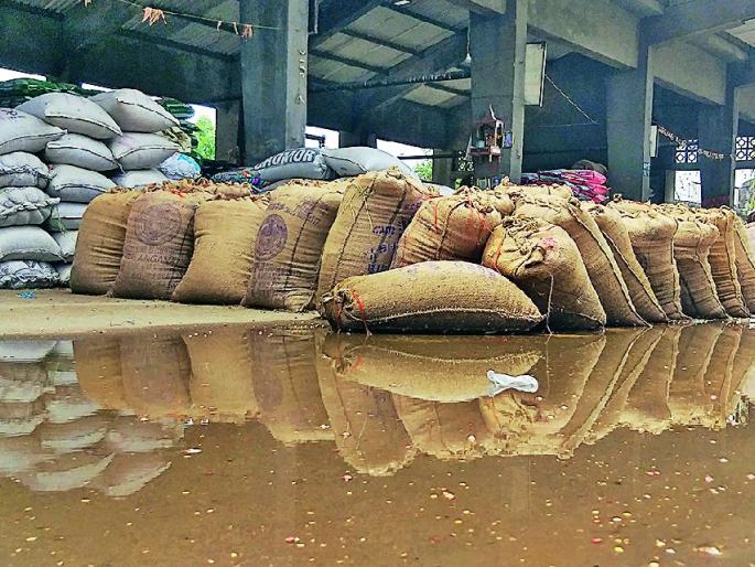 The rain soaked millions of grains in Kalamanya; Losses of farmers | पावसामुळे कळमन्यात लाखोंचे धान्य भिजले; शेतकऱ्यांचे नुकसान