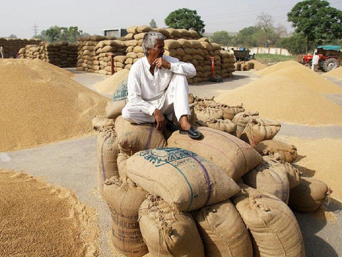 Will paddy get bonus this year? Attention of farmers towards the winter session | धानाला यावर्षी तरी बाेनस मिळणार का? हिवाळी अधिवेशनाकडे शेतकऱ्यांचे लक्ष Will paddy get bonus this year? Attention of farmers towards the winter session | धानाला यावर्षी तरी बाेनस मिळणार का? हिवाळी अधिवेशनाकडे शेतकऱ्यांचे लक्ष