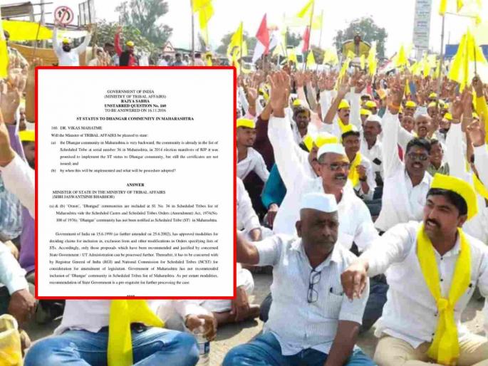 Dhangar community are not tribal So how did GR drawn QUESTION OF TRIBAL FORUM Mumbai high court | धनगर आदिवासी नाहीतच; मग जीआर कसा काढता? ट्रायबल फोरमचा सवाल Dhangar community are not tribal So how did GR drawn QUESTION OF TRIBAL FORUM Mumbai high court | धनगर आदिवासी नाहीतच; मग जीआर कसा काढता? ट्रायबल फोरमचा सवाल