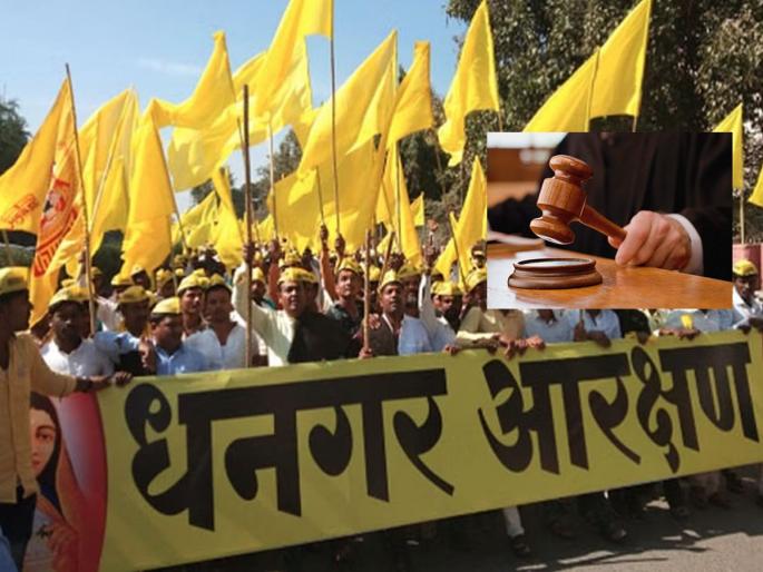 Dhangar Reservation: A big shock to the Dhangar community, the High Court's refusal to grant reservation from the ST category | धनगर समाजाला मोठा धक्का, एसटी प्रवर्गातून आरक्षण देण्यास हायकोर्टाचा नकार Dhangar Reservation: A big shock to the Dhangar community, the High Court's refusal to grant reservation from the ST category | धनगर समाजाला मोठा धक्का, एसटी प्रवर्गातून आरक्षण देण्यास हायकोर्टाचा नकार