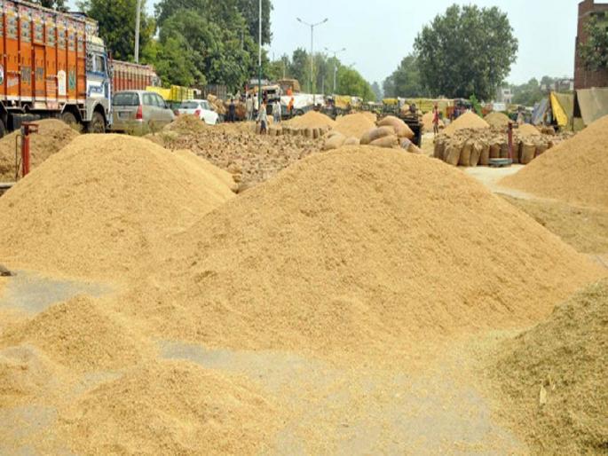 two grader's arrested, case against 15 people in paddy scam of Rs.53 crore | पावणेतीन कोटींच्या धान घोटाळ्यात १५ जणांवर गुन्हा; दोन ग्रेडरवर अटकेची कारवाई two grader's arrested, case against 15 people in paddy scam of Rs.53 crore | पावणेतीन कोटींच्या धान घोटाळ्यात १५ जणांवर गुन्हा; दोन ग्रेडरवर अटकेची कारवाई