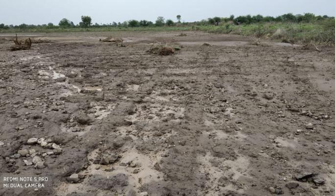 466 farmers hit by heavy rains | ४६६ शेतकऱ्यांना बसला अतिवृष्टीचा फटका 