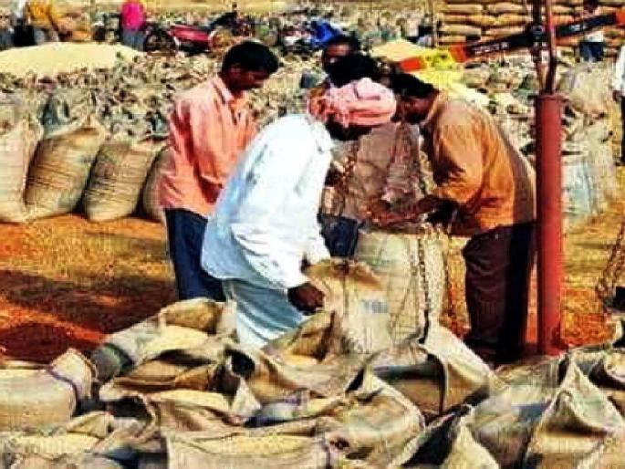 hundreds of farmers at paddy center, federation says wait and watch | हजारो शेतकऱ्यांचे धान केंद्रावर, फेडरेशन म्हणते वेट ॲन्ड वॉच hundreds of farmers at paddy center, federation says wait and watch | हजारो शेतकऱ्यांचे धान केंद्रावर, फेडरेशन म्हणते वेट ॲन्ड वॉच