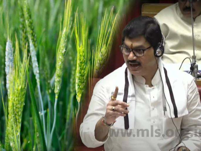 Winter Session Maharashtra Agricultural Minister Dhananjay Munde said Farmers will get minimum 1000 rupees as crop insurance | ठरलं!! प्रत्येक शेतकऱ्याला कमीत कमी किती रूपये विमा मिळणार?; मंत्री धनंजय मुंडेनी दिलं उत्तर