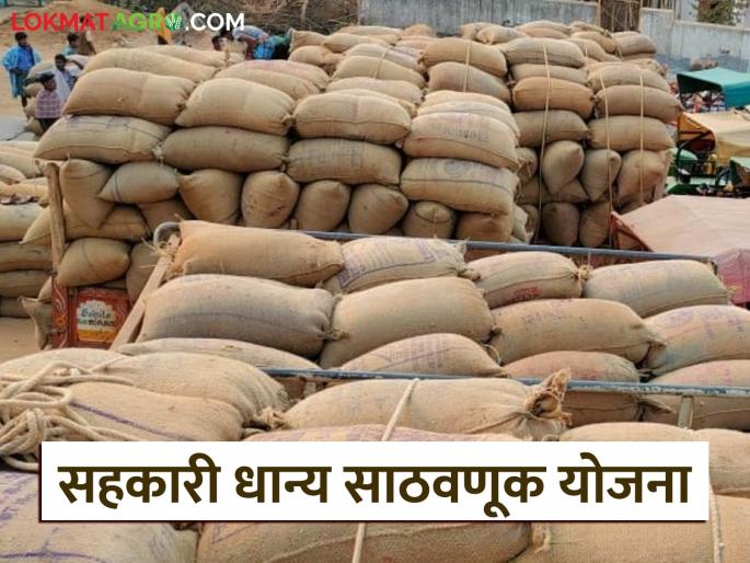 Latest News World's largest cooperative grain storage scheme includes amravati district of Maharashtra | सर्वात मोठी सहकारी धान्य साठवणूक योजना, महाराष्ट्रातील 'या' जिल्ह्याचा समावेश  Latest News World's largest cooperative grain storage scheme includes amravati district of Maharashtra | सर्वात मोठी सहकारी धान्य साठवणूक योजना, महाराष्ट्रातील 'या' जिल्ह्याचा समावेश