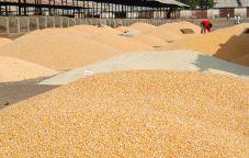 Use of Opposition for the construction of the premises in front of the Jalgaon Agriculture Market Committee - Traders' allegations | जळगाव कृषी बाजार समितीसमोर संकूल उभारणीसाठी दबाबतंत्राचा वापर- व्यापाऱ्यांचा आरोप Use of Opposition for the construction of the premises in front of the Jalgaon Agriculture Market Committee - Traders' allegations | जळगाव कृषी बाजार समितीसमोर संकूल उभारणीसाठी दबाबतंत्राचा वापर- व्यापाऱ्यांचा आरोप