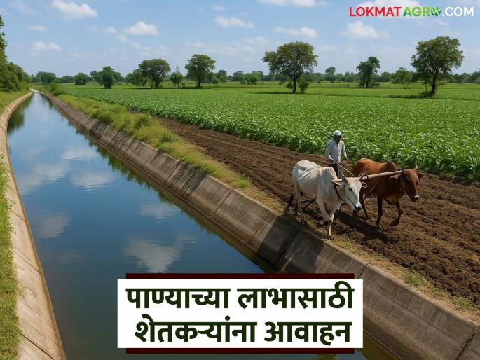 latest News Appeal to apply for water usage in dam canals by July 28, read in detail | धरण कालव्यांतील पाणी वापरासाठी 28 जुलैपर्यंत अर्ज करण्याचे आवाहन, वाचा सविस्तर 