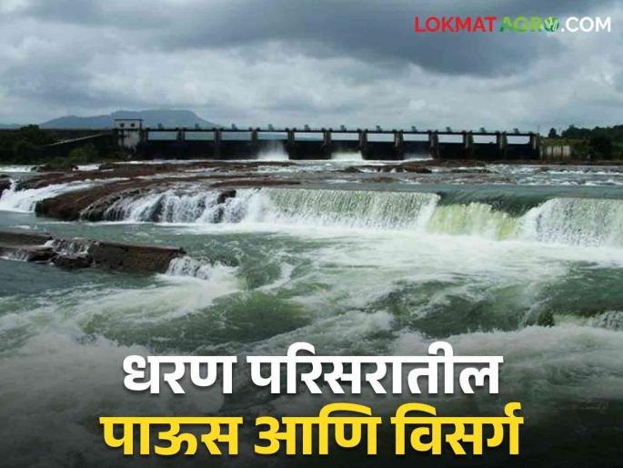 Latest News Maharshtra Rain Update Dams in Marathwada filled up to 72 percent see details | Maharashtra Rain Update : मराठवाड्यातील धरणे 72 टक्क्यांपर्यंत भरली, उर्वरित महाराष्ट्रात कुठे-किती पाऊस? Latest News Maharshtra Rain Update Dams in Marathwada filled up to 72 percent see details | Maharashtra Rain Update : मराठवाड्यातील धरणे 72 टक्क्यांपर्यंत भरली, उर्वरित महाराष्ट्रात कुठे-किती पाऊस?