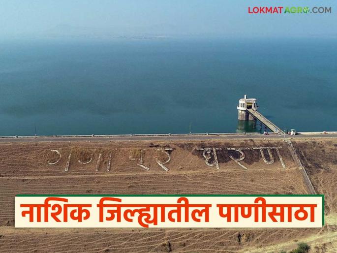 Latest News Gangapur Dam Storage Eleven dams in Nashik district filled to 100 percent, | नाशिक जिल्ह्यातील अकरा धरणे 100 टक्के भरली, गंगापूर धरण किती टक्क्यांवर? 