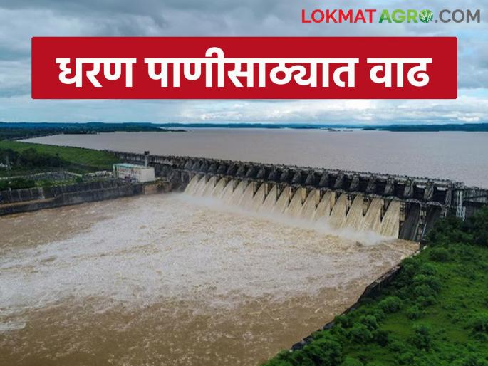 Maharashtra Dam Storage: Increase in water storage due to continuous rains; How much water in which dam read in detail | Maharashtra Dam Storage : सततच्या पावसाने जलसाठ्यात वाढ; कोणत्या धरणात किती पाणी वाचा सविस्तर Maharashtra Dam Storage: Increase in water storage due to continuous rains; How much water in which dam read in detail | Maharashtra Dam Storage : सततच्या पावसाने जलसाठ्यात वाढ; कोणत्या धरणात किती पाणी वाचा सविस्तर