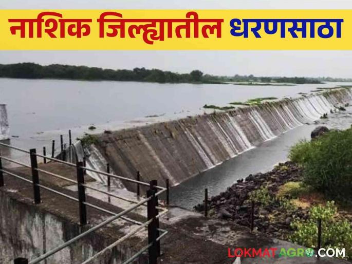 Latest News 41.79 percent water storage in gangapur, darna, girna dam in Nashik district | Nashik Dam Storage : जून-जुलै संपला, तरीही नाशिक जिल्ह्यातील 'ही' धरणे तळाशीच, वाचा सविस्तर 