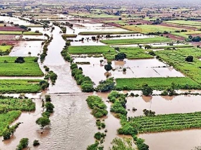 Dharashiv Rain: Heavy rains again in six mandals in Dharashiv; Rivers and streams overflowed, remaining crops were also washed away | धाराशिवमध्ये सहा मंडळात पुन्हा अतिवृष्टी; नदी-नाले दुथडी, उरली-सुरली पिकेही वाहून नेली