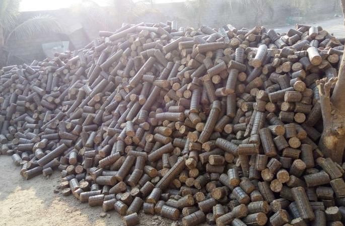 stop the 'white coal' production for animal feed, Directions | जनावरांच्या चाऱ्यासाठी ‘व्हाइट कोल’ निर्मितीला ब्रेक