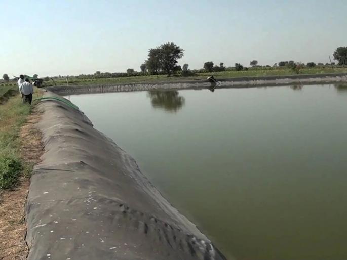 Ahmadnagar Emotional Story: husband slipped and fell in the farm well, wife jumped to save him; Both drowned | Ahmednagar News: दुर्दैवी! पती शेततळ्यात पाय घसरून पडला, त्याला वाचवण्यासाठी पूजाने उडी मारली; दोघेही बुडाले Ahmadnagar Emotional Story: husband slipped and fell in the farm well, wife jumped to save him; Both drowned | Ahmednagar News: दुर्दैवी! पती शेततळ्यात पाय घसरून पडला, त्याला वाचवण्यासाठी पूजाने उडी मारली; दोघेही बुडाले