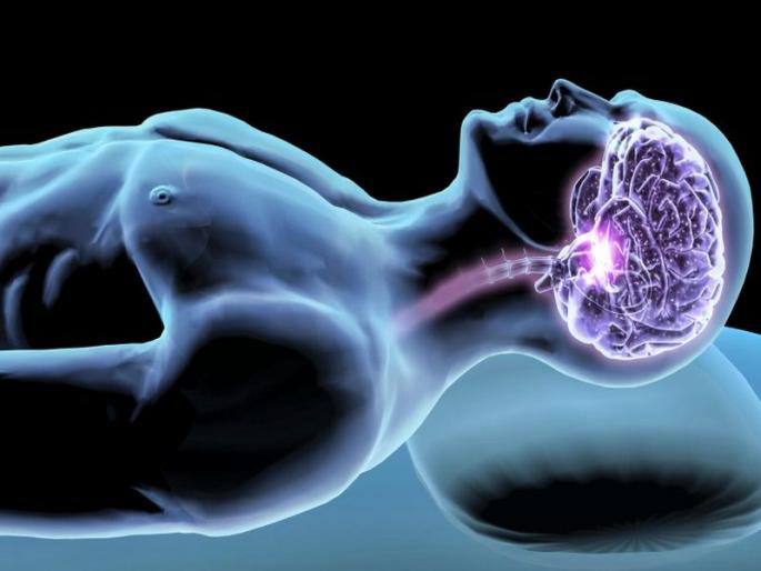 What does the brain do when we sleep ?; Find out for sure! | आपण झोपतो, तेव्हा मेंदू काय करत असतो?; नक्की जाणून घ्या! What does the brain do when we sleep ?; Find out for sure! | आपण झोपतो, तेव्हा मेंदू काय करत असतो?; नक्की जाणून घ्या!