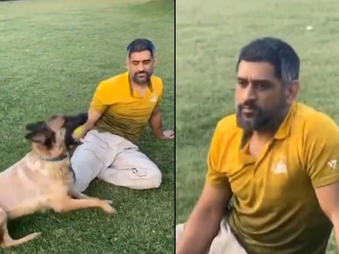 Video: Yuzvendra Chahal says on MS Dhoni's new look, Thala One More Time! svg | Video : MS Dhoniच्या नव्या लूकवर युजवेंद्र चहल म्हणतो, थाला वन मोर टाईम!