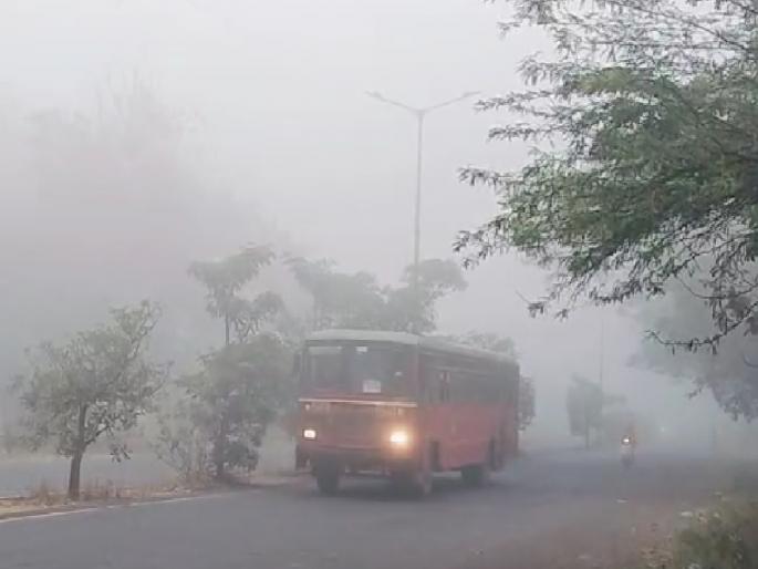 fog spread in Sangli, the cold intensified | सांगलीत पसरली धुक्याची चादर, थंडीचा कडाका वाढला fog spread in Sangli, the cold intensified | सांगलीत पसरली धुक्याची चादर, थंडीचा कडाका वाढला