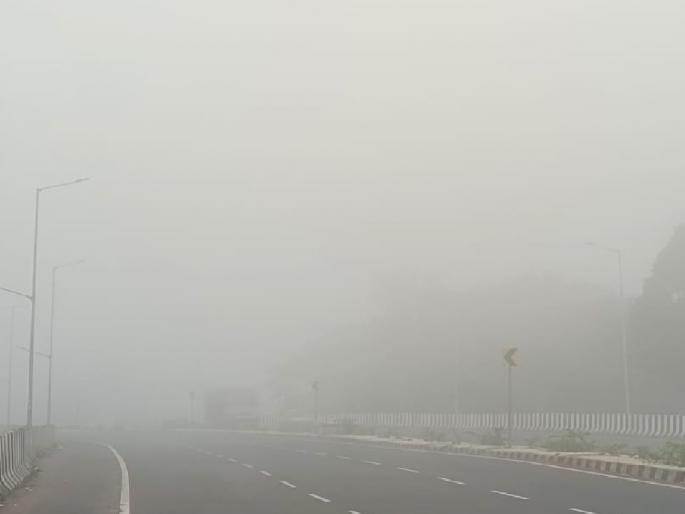 Sindhudurg thick fog Mango cashew fruit will be hit | धुक्यात हरवला सिंधुदुर्ग; आंबा, काजू फळांना बसणार फटका Sindhudurg thick fog Mango cashew fruit will be hit | धुक्यात हरवला सिंधुदुर्ग; आंबा, काजू फळांना बसणार फटका