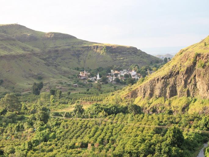 Dhumalwadi in Phaltan taluka is the first fruit village in the state | फलटण तालुक्यातील धुमाळवाडी हे राज्यातील पहिले फळांचे गाव Dhumalwadi in Phaltan taluka is the first fruit village in the state | फलटण तालुक्यातील धुमाळवाडी हे राज्यातील पहिले फळांचे गाव