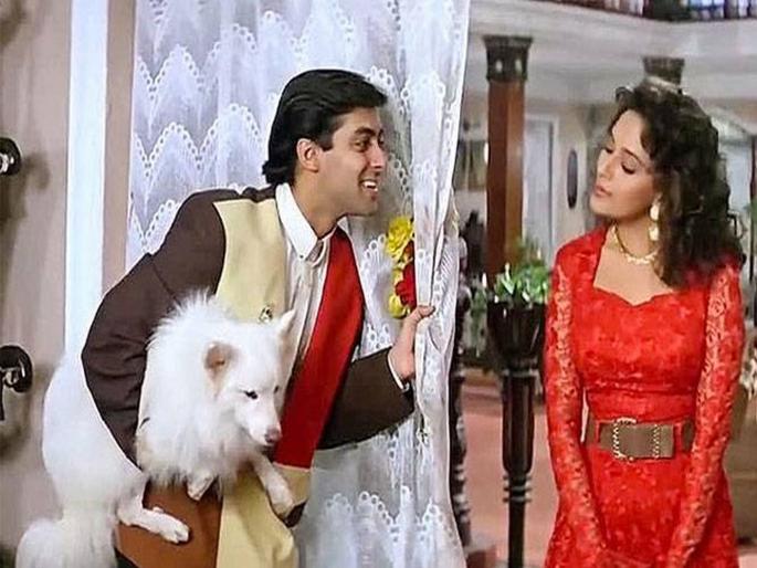 Madhuri Dixit told about hum aapke hain kaun tuffy | माधुरी दीक्षितने सांगितली टफीविषयी ही खास गोष्ट, वाचून तुम्हाला बसेल आश्चर्याचा धक्का Madhuri Dixit told about hum aapke hain kaun tuffy | माधुरी दीक्षितने सांगितली टफीविषयी ही खास गोष्ट, वाचून तुम्हाला बसेल आश्चर्याचा धक्का