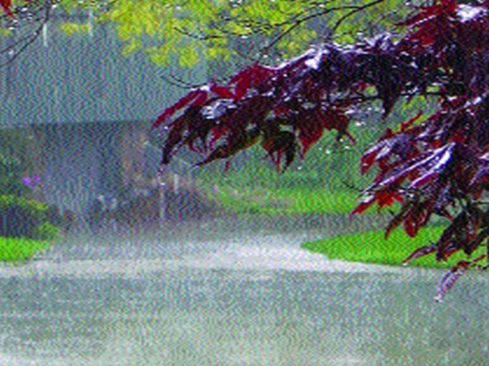 Rain deficit in ten districts of the state; Less rainfall in half the districts of Vidarbha | राज्यात तब्बल दहा जिल्ह्यांत पावसाची तूट; विदर्भात निम्म्या जिल्ह्यांत कमी पाऊस Rain deficit in ten districts of the state; Less rainfall in half the districts of Vidarbha | राज्यात तब्बल दहा जिल्ह्यांत पावसाची तूट; विदर्भात निम्म्या जिल्ह्यांत कमी पाऊस