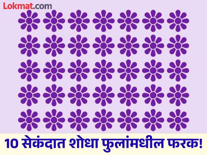 Optical Illusion : Can You Spot the Different Flower in 10 Seconds? | 10 सेकंदात शोधून दाखवा फोटोतील फुलामधील फरक, जास्तीत जास्त लोक झाले फेल! Optical Illusion : Can You Spot the Different Flower in 10 Seconds? | 10 सेकंदात शोधून दाखवा फोटोतील फुलामधील फरक, जास्तीत जास्त लोक झाले फेल!
