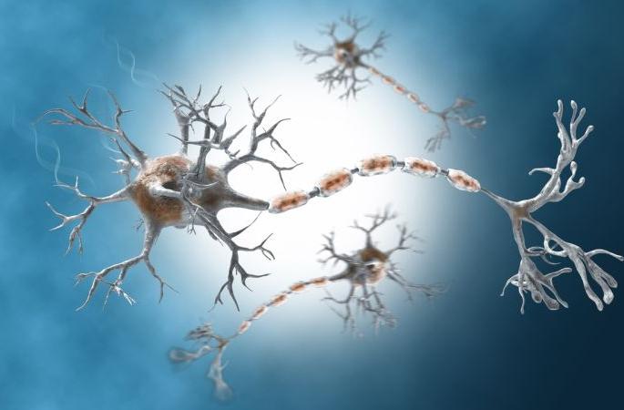 Now the fear of the rare disease ‘GBS’; Patient difficulty with costly treatment | सावध व्हा! आता ‘जीबीएस’ या दुर्मीळ आजाराने डोके वर काढले; खर्च जातो लाखांत