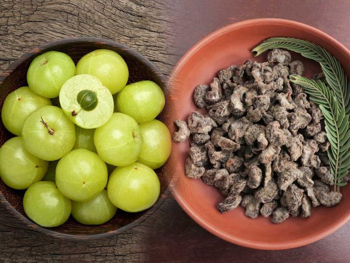 Check out the traditional recipe for making fresh, juicy amla supari for better digestion | ताज्या ताज्या रसदार आवळ्याचं पाचक करण्याची पाहा पारंपरिक रेसिपी, पोट फुगलं-दुखलं तरी नो टेंशन Check out the traditional recipe for making fresh, juicy amla supari for better digestion | ताज्या ताज्या रसदार आवळ्याचं पाचक करण्याची पाहा पारंपरिक रेसिपी, पोट फुगलं-दुखलं तरी नो टेंशन