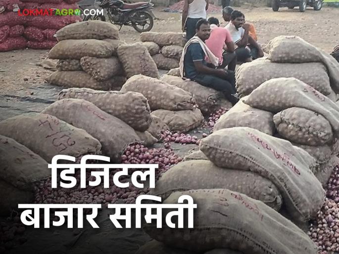 Latest News Onion buying and selling transactions online in parner digital market yard | Agriculture News : कांद्यासह शेतमाल खरेदी-विक्रीची माहिती, पारनेर ठरणार पहिली डिजिटल बाजार समिती Latest News Onion buying and selling transactions online in parner digital market yard | Agriculture News : कांद्यासह शेतमाल खरेदी-विक्रीची माहिती, पारनेर ठरणार पहिली डिजिटल बाजार समिती