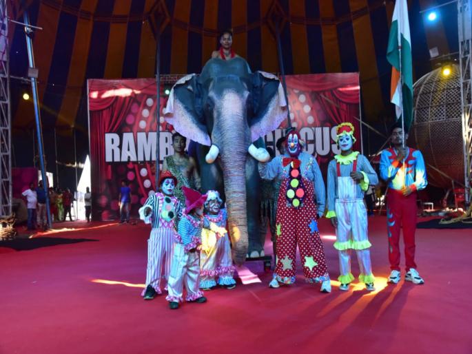 Have you seen the country first digital elephant | देशातील पहिला डिजिटल हत्ती पाहिला का ? Have you seen the country first digital elephant | देशातील पहिला डिजिटल हत्ती पाहिला का ?