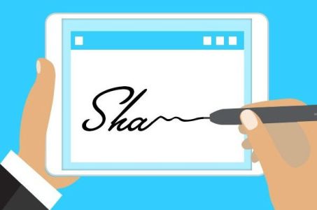 Continuing to provide digital signature certificates in the office of Faizpur province | फैजपूर प्रांत कार्यालयात डिजीटल स्वाक्षरीचे दाखले देणे सुरू