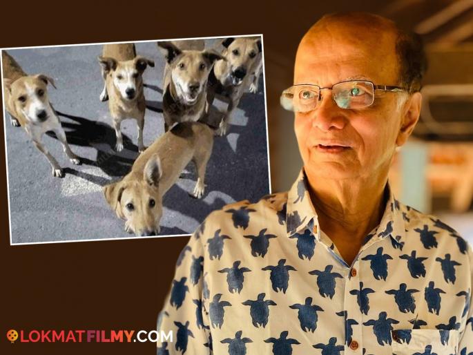 dilip prabhawalkar birthday special marathi actor shared incident when 5 stray dogs run behind him realised his fitness | वय वर्ष ८०, तरीही फिट! दिलीप प्रभावळकरांना स्वत:च्या फिटनेसचं आश्चर्य, म्हणाले- "एकदा ५ कुत्रे माझ्या लागले तेव्हा..." dilip prabhawalkar birthday special marathi actor shared incident when 5 stray dogs run behind him realised his fitness | वय वर्ष ८०, तरीही फिट! दिलीप प्रभावळकरांना स्वत:च्या फिटनेसचं आश्चर्य, म्हणाले- "एकदा ५ कुत्रे माझ्या लागले तेव्हा..."