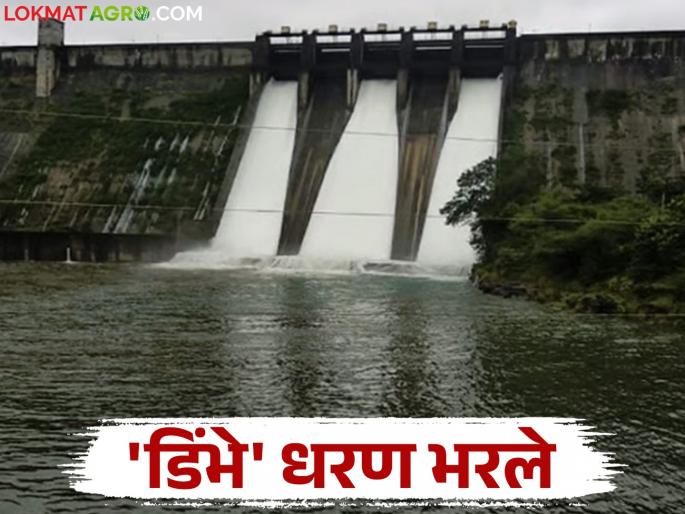 This dam which has the highest water storage capacity in the Kukdi project overflows | कुकडी प्रकल्पातील सर्वाधिक जास्त पाणी साठवण क्षमता असणारे 'हे' धरण ओव्हरफ्लो This dam which has the highest water storage capacity in the Kukdi project overflows | कुकडी प्रकल्पातील सर्वाधिक जास्त पाणी साठवण क्षमता असणारे 'हे' धरण ओव्हरफ्लो