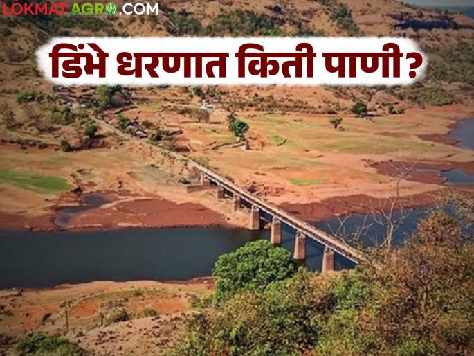 Dimbhe Dam : The catchment area of Dimbhe Dam has become empty; now only 17.77 percent water storage | Dimbhe Dam : डिंभे धरणाचे पाणलोट क्षेत्र झाले रिकामे; आता केवळ १७.७७ टक्के पाणीसाठा Dimbhe Dam : The catchment area of Dimbhe Dam has become empty; now only 17.77 percent water storage | Dimbhe Dam : डिंभे धरणाचे पाणलोट क्षेत्र झाले रिकामे; आता केवळ १७.७७ टक्के पाणीसाठा