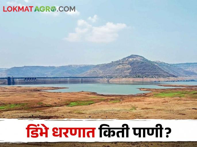 Bottom reached by Dimbhe Dam; Remaining for how much water | Dimbhe Dam डिंभे धरणाने गाठला तळ; किती पाणीसाठी शिल्लक Bottom reached by Dimbhe Dam; Remaining for how much water | Dimbhe Dam डिंभे धरणाने गाठला तळ; किती पाणीसाठी शिल्लक