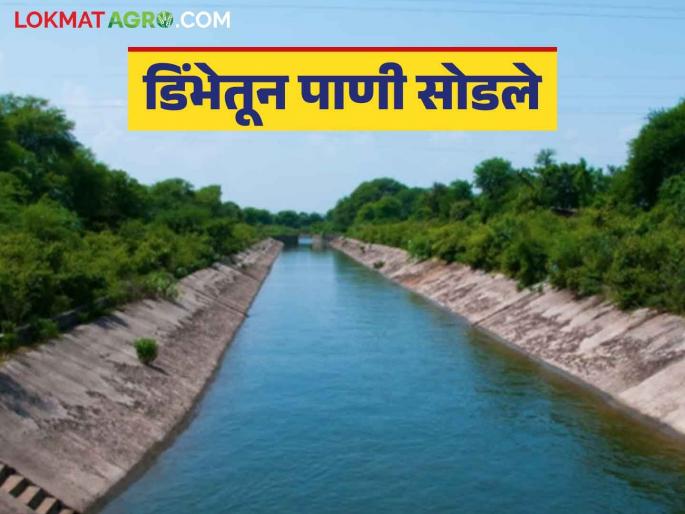 Dimbhe Dam : Water released to the right canal of Dimbhe Dam; 50 villages will benefit | Dimbhe Dam : डिंभे धरणाच्या उजव्या कालव्याला पाणी सोडले; ५० गावांना होणार फायदा Dimbhe Dam : Water released to the right canal of Dimbhe Dam; 50 villages will benefit | Dimbhe Dam : डिंभे धरणाच्या उजव्या कालव्याला पाणी सोडले; ५० गावांना होणार फायदा