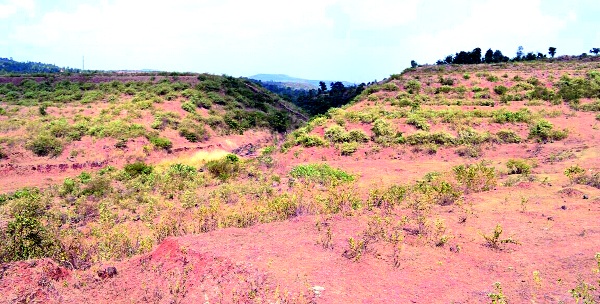 Dindewadi-Barve project stops due to rehabilitation: Will the rest of the work ever be started? | दिंडेवाडी-बारवे प्रकल्प पुनर्वसनाअभावी रखडला : उर्वरित कामास कधी मुहूर्त मिळणार? Dindewadi-Barve project stops due to rehabilitation: Will the rest of the work ever be started? | दिंडेवाडी-बारवे प्रकल्प पुनर्वसनाअभावी रखडला : उर्वरित कामास कधी मुहूर्त मिळणार?