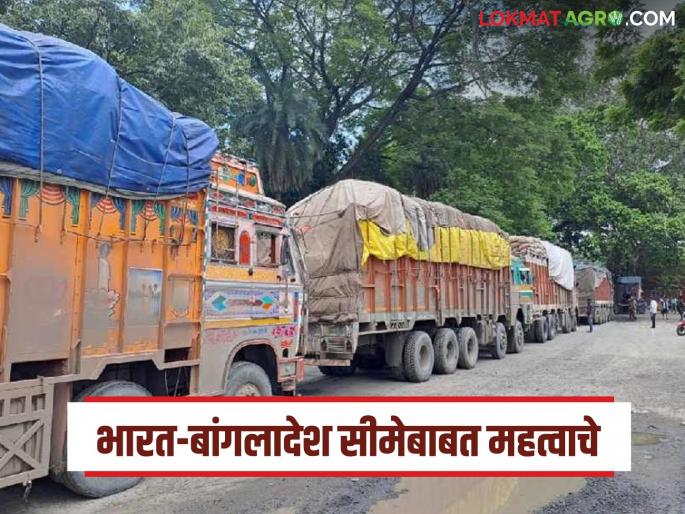 Latest News India imposes land and sea port restrictions on jute from Bangladesh | बांगलादेशातून येणाऱ्या वस्तूंच्या लँड रूट आयातीवर निर्बंध, कांद्यावर काय परिणाम होईल? 